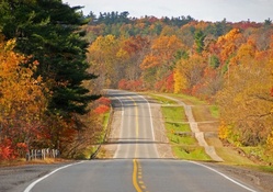 Autumn Road