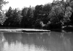Summer Pond View