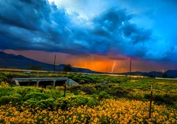 Stormy Summer, Arizona
