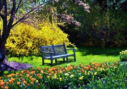 Springtime Park