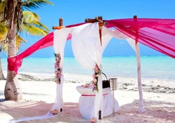 wedding place in paradise