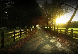 Autumnal Road At Sunset