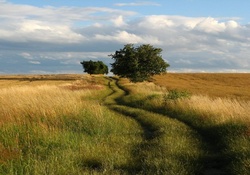 Countryside Grass Road