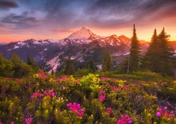 Mount Baker Sunset