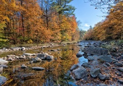 lovely rocky forest river in autumn