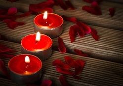 Candles and Rose Petals