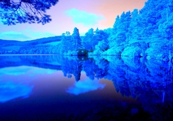 Blue Forest Silent Lake