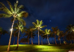 Oahu Landscape