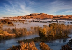 fog covered river landscape