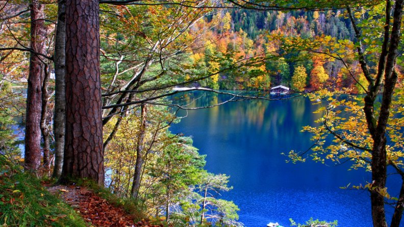 wonderful_autumn_lake_view.jpg