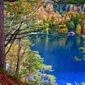 wonderful autumn lake view 
