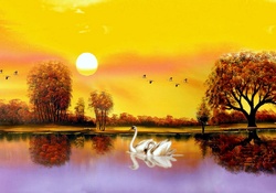 __Swan Lake is Happy__