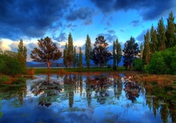 * Reflection of trees in lake *