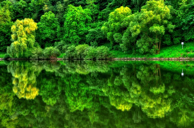 green_mirror_of_nature.jpg