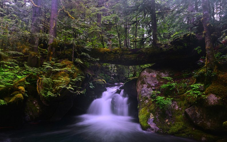 Deception Creek Falls, Washington