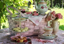garden tea picnic