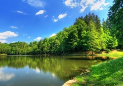 Forest Surrounded Lake