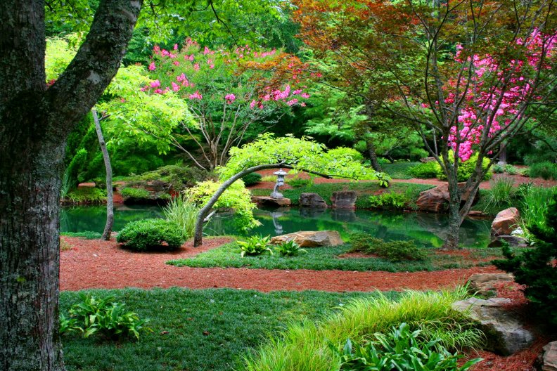japanese_garden.jpg