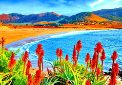 Flowers in Coastal Paradise