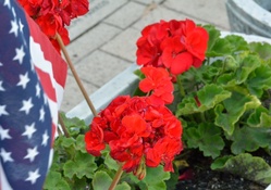Flowers and Flag