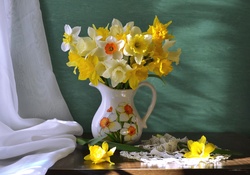 * Daffodils *
