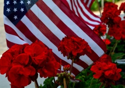 Beautiful Flag and Flowers