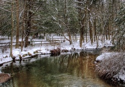 lovely forest river in winter