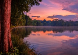 purple dusk over  a beautiful lake