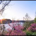 Spring on the Ohio River