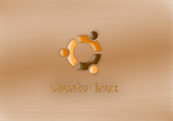ubuntu linux _ brushed copper