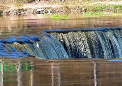 Fishes jumps over Venta fall.