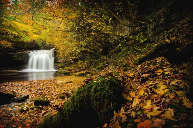 autumn_waterfall.jpg