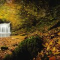 * Autumn waterfall *