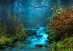 Blue Misty Forest