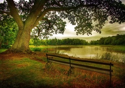 bench on a lakeshore hdr