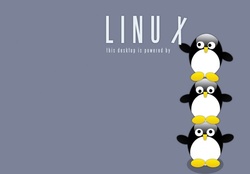 Desktop is powered by linux
