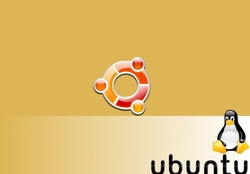 Basic Colored Ubuntu