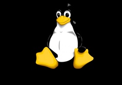Linux Logo (Penguin)