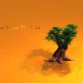 Lone Ubuntu Tree