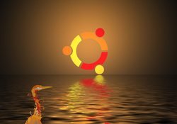 ubuntu logo and hardy heron