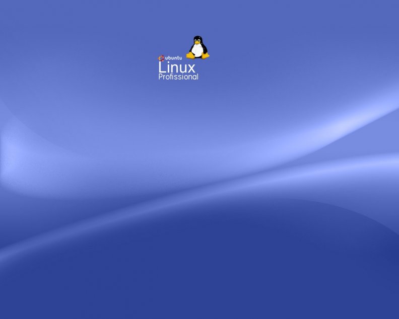 ubuntu_linux_professional.jpg