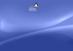 Ubuntu Linux Professional