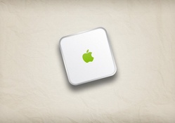 Apple case
