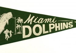 Miami Dolphins NFL football year 1966