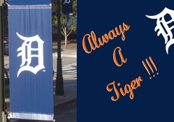 Detroit Tigers _ 2013 MLB Central Division Winners