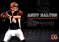 Andy Dalton Cincinnati Bengals qb