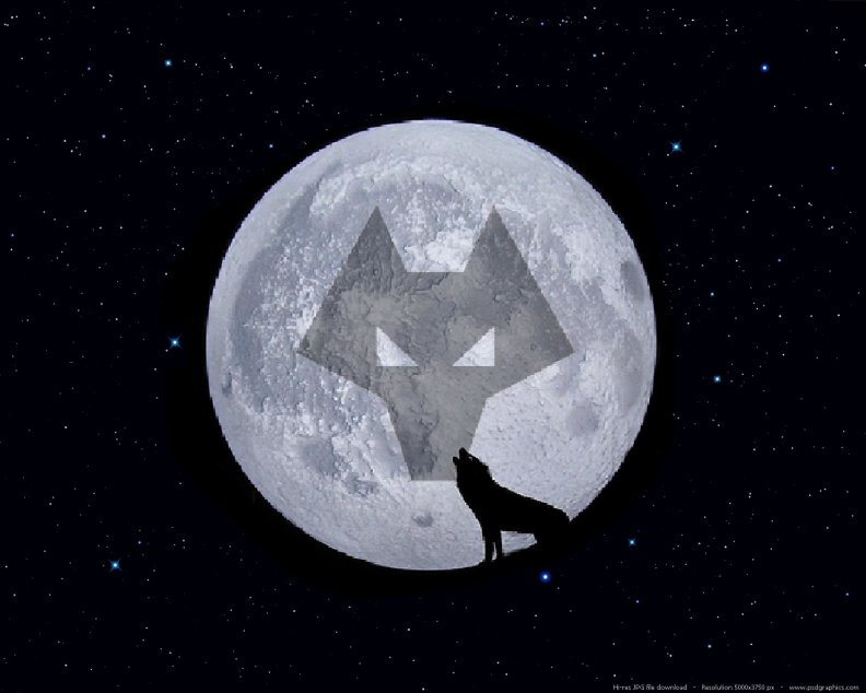 wolves_full_moon.jpg
