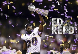 Ed Reed Super Bowl
