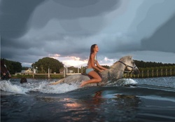 Cowgirl And Horse Swimming