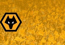 Support Wolves